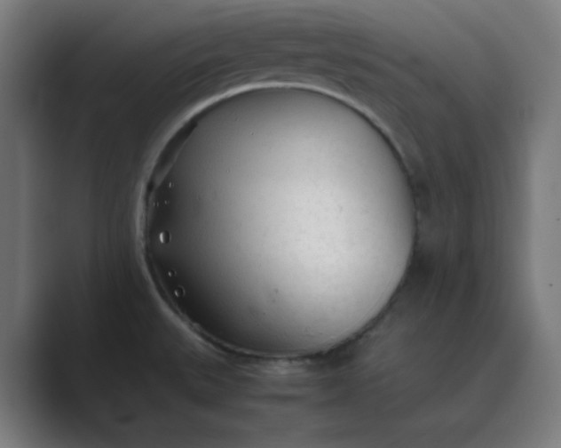 X0000089361527200706291031