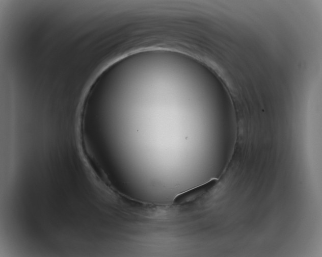 X0000089361530200706291031