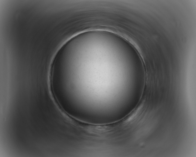 X0000089361533200706291031