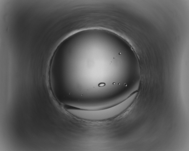 X0000089361534200706291031