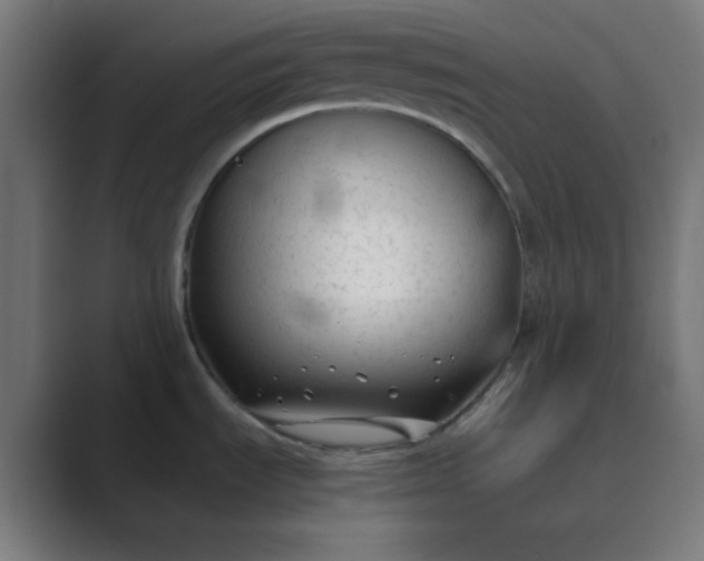 X0000089361535200706291031