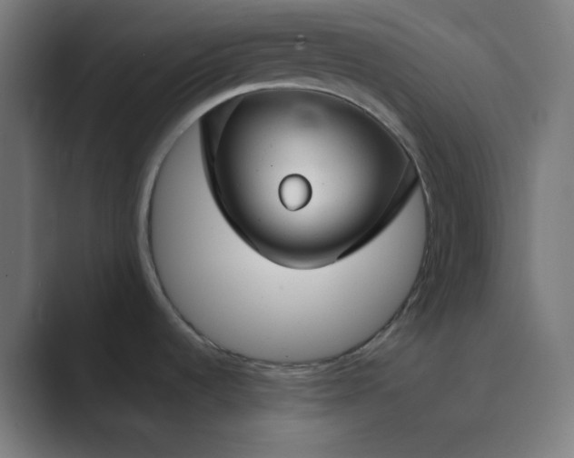 X0000089361536200706291031