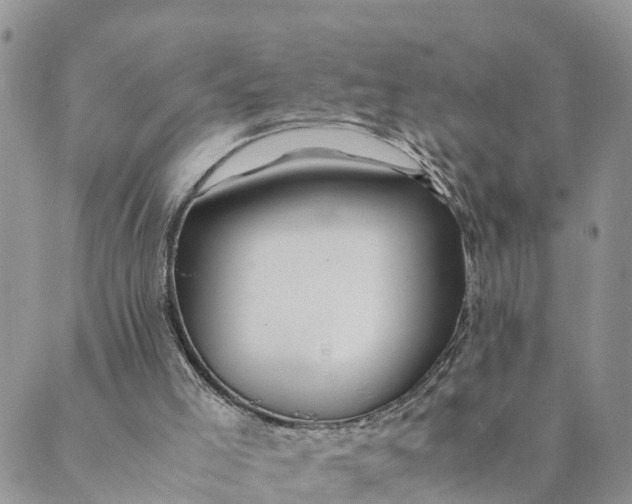 X0000089360005200707061101