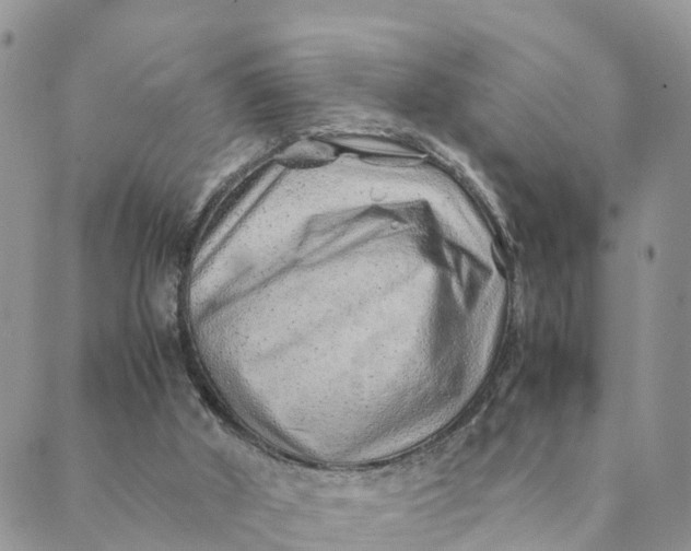 X0000089360010200707061101