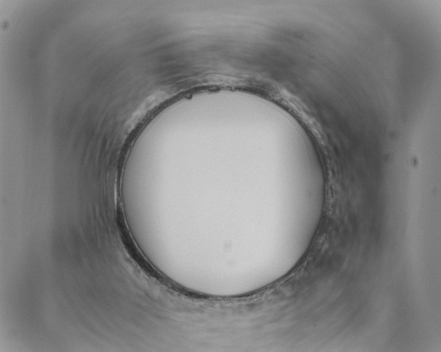 X0000089360011200707061101