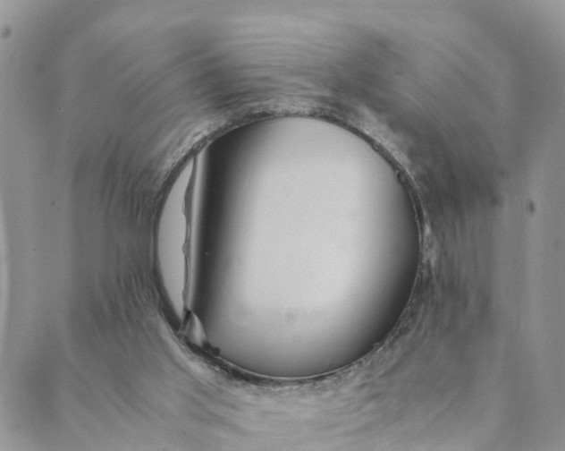 X0000089360013200707061101