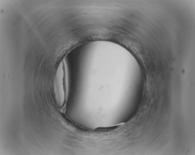 X0000089360017200707061101
