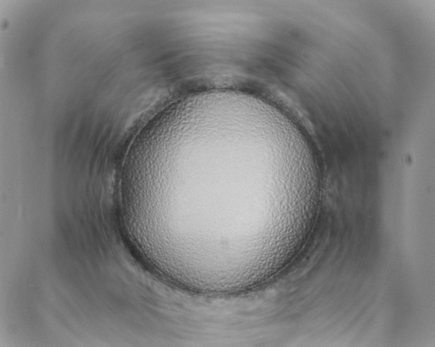 X0000089360018200707061101