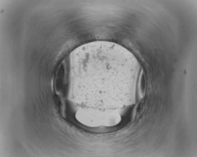 X0000089360019200707061100