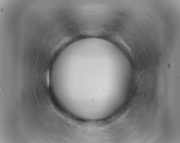 X0000089360020200707061100