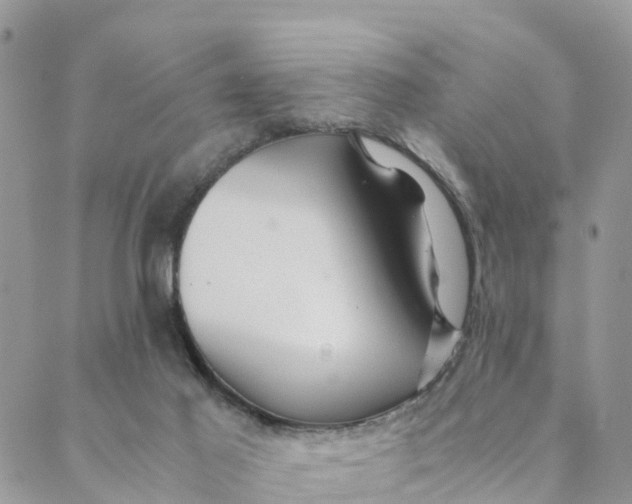 X0000089360021200707061100