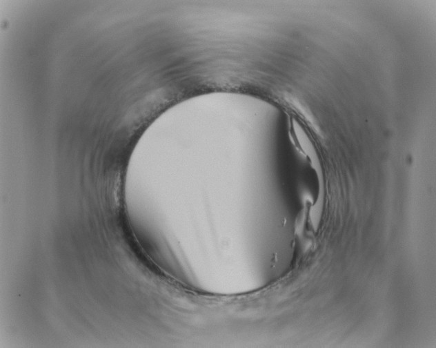 X0000089360023200707061100