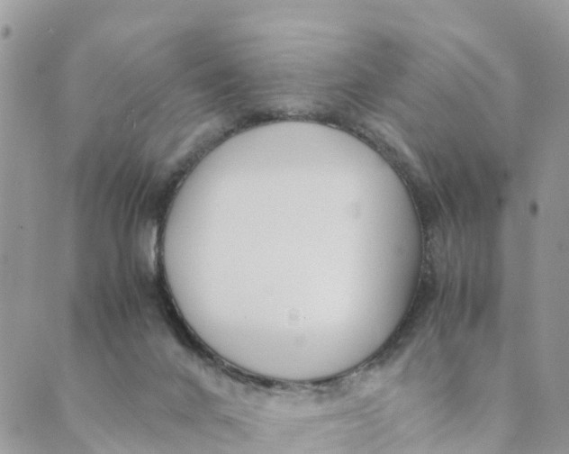 X0000089360024200707061100