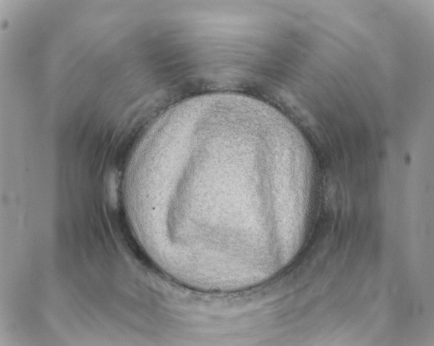 X0000089360026200707061100