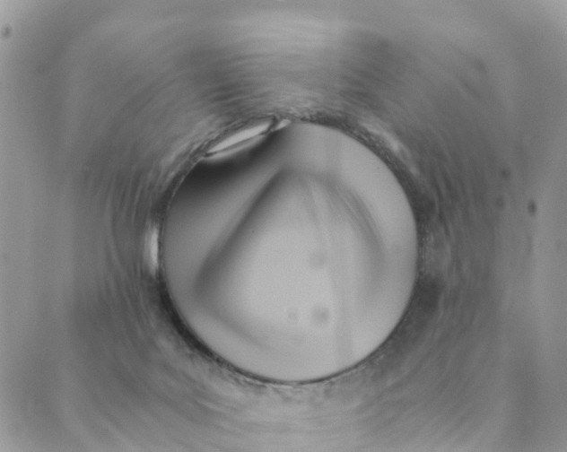 X0000089360027200707061100