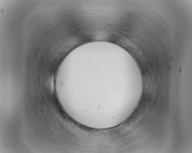 X0000089360028200707061100