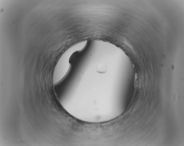 X0000089360029200707061100