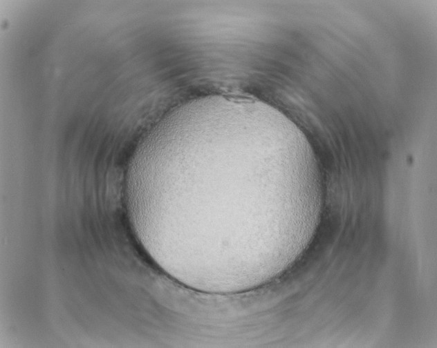 X0000089360030200707061100