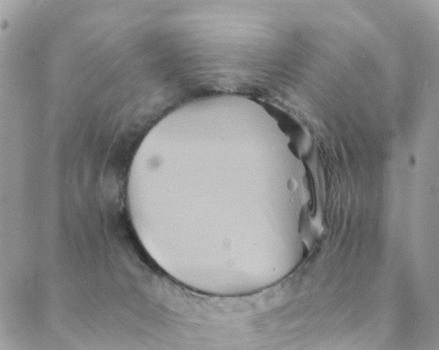 X0000089360031200707061100