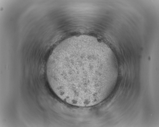 X0000089360032200707061100