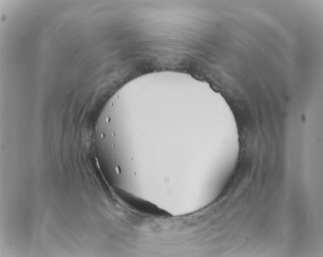 X0000089360033200707061100