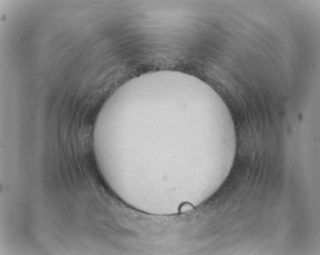 X0000089360034200707061100