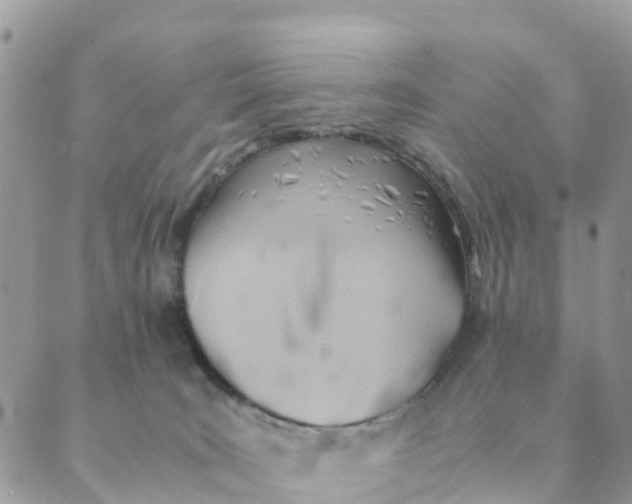 X0000089360035200707061100