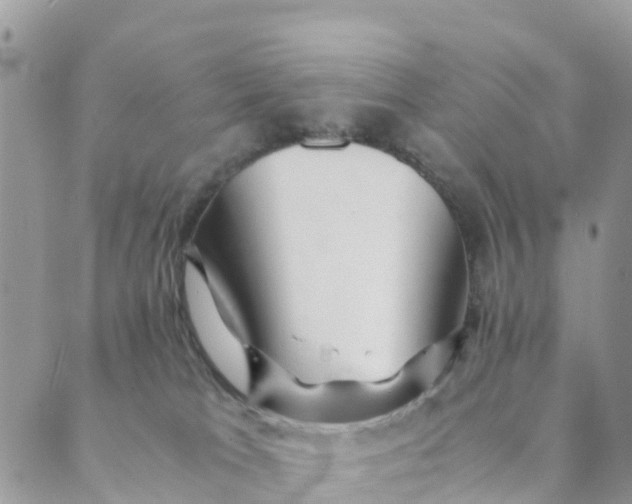 X0000089360037200707061100