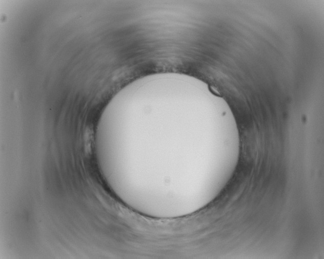 X0000089360038200707061100