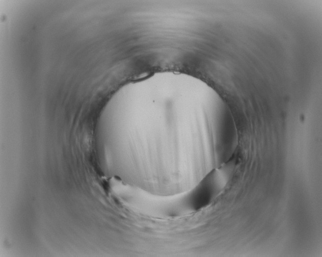 X0000089360039200707061100