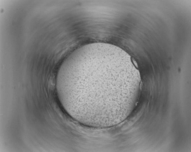 X0000089360040200707061100