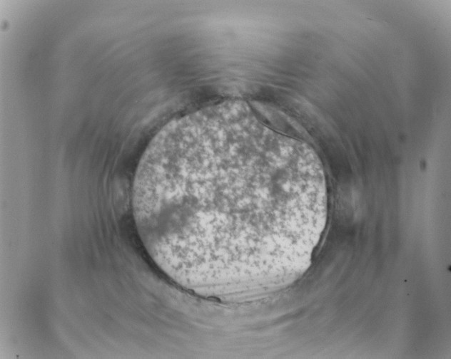 X0000089360043200707061100