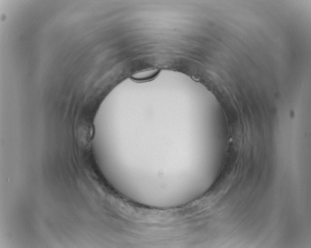 X0000089360044200707061100