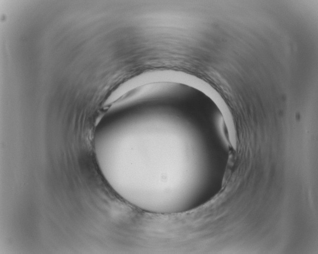 X0000089360045200707061100