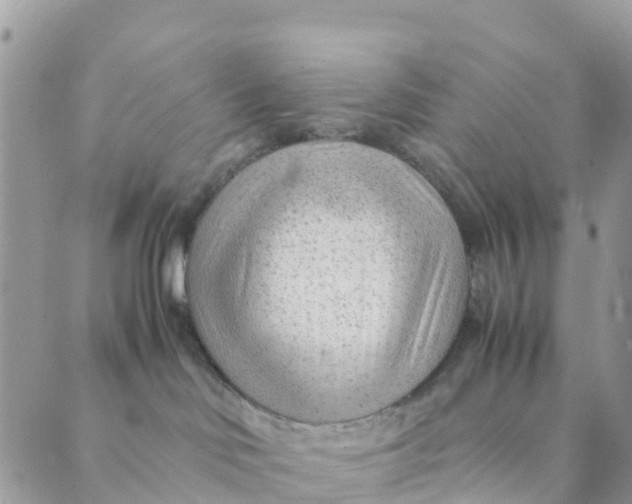 X0000089360046200707061100