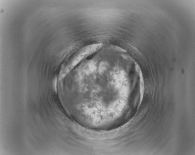 X0000089360047200707061100