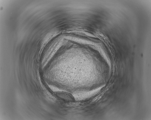 X0000089360049200707061059