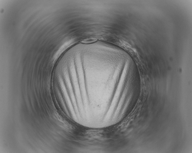 X0000089360051200707061059