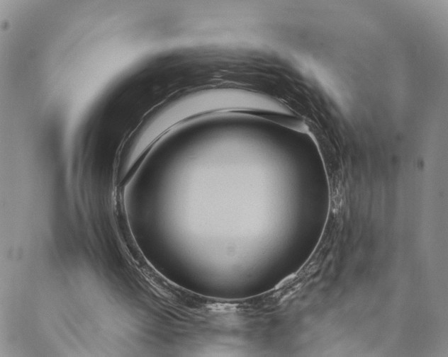 X0000089360052200707061059