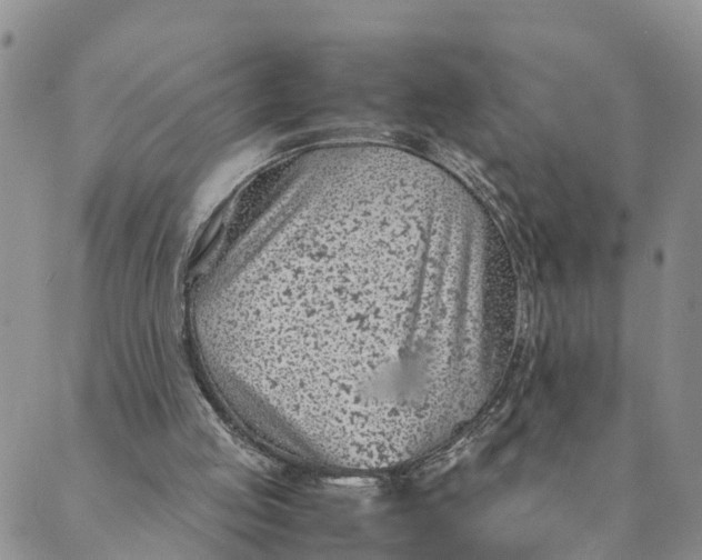 X0000089360053200707061059