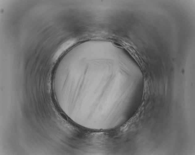 X0000089360054200707061059