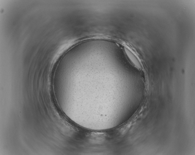 X0000089360055200707061059