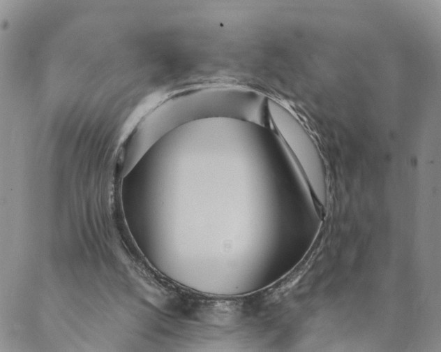 X0000089360056200707061059