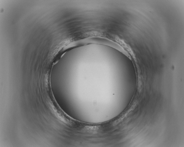 X0000089360057200707061059