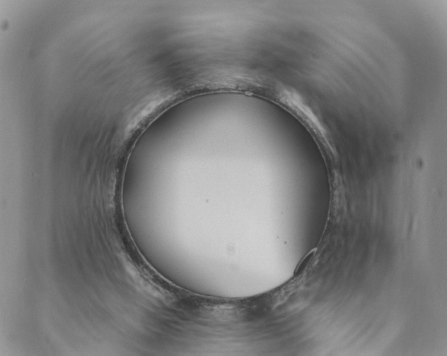 X0000089360058200707061059