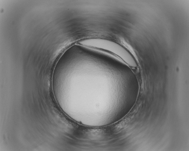 X0000089360059200707061059