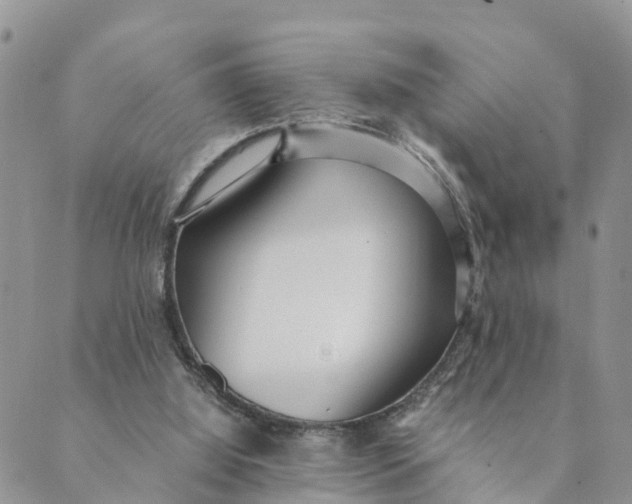 X0000089360060200707061059