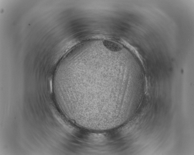 X0000089360061200707061059