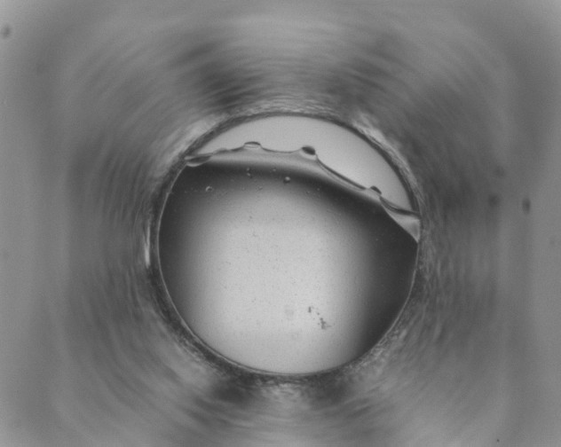 X0000089360062200707061059