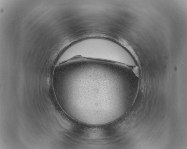 X0000089360063200707061059